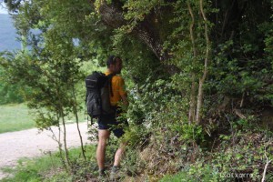 img_1272831496_999