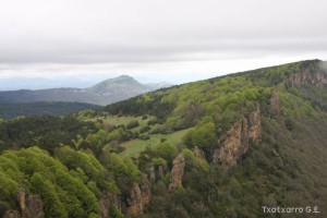 img_1272831498_662