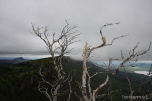 img_1272831499_707