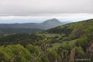 img_1272831500_876