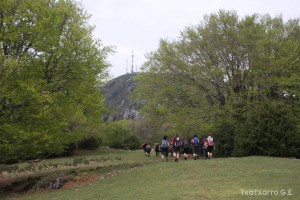 img_1272831502_777