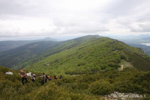 img_1272831503_468