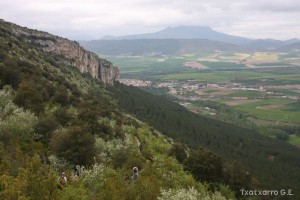 img_1272831505_544