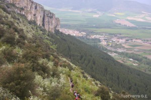 img_1272831506_801
