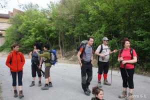 img_1272831508_569
