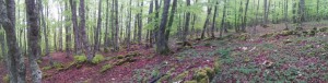 20150501_130127
