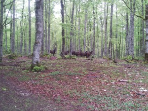 20150501_134919