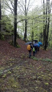 IMG_20150501_113027