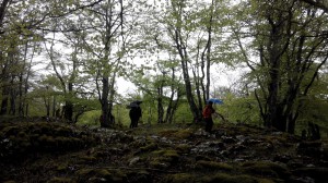 IMG_20150501_115932