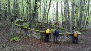IMG_20150501_130506