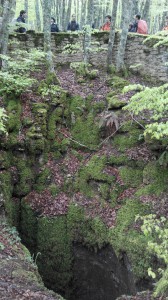 IMG_20150501_130532