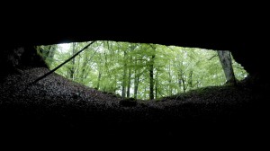 IMG_20150501_135319