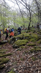 IMG_20150502_103350