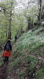 IMG_20150502_114701