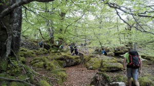 IMG_20150502_140447