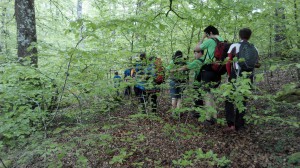 IMG_20150502_142603