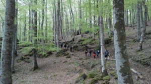 IMG_20150502_150000