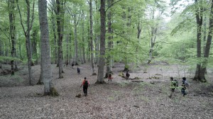 IMG_20150503_113818 