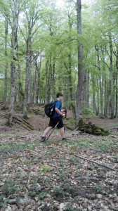 IMG_20150503_113924 