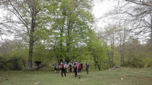 IMG_20150503_135058 