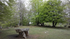 IMG_20150503_135325 