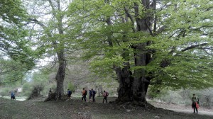 IMG_20150503_135348 