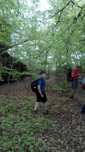 IMG_20150503_141146 