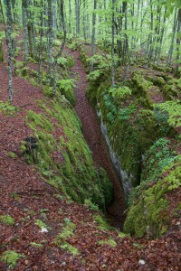 IMG_4720