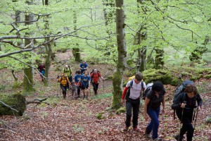 IMG_4747