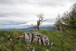 IMG_4778