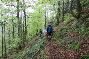IMG_4811