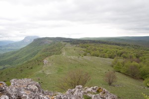 IMG_4819