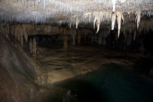 IMG_4930