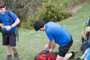 IMG_4946