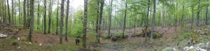 PANO_20150502_144541  