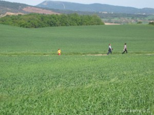 img_1206789407_691