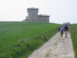 img_1206789408_785