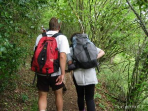 img_1206789412_730