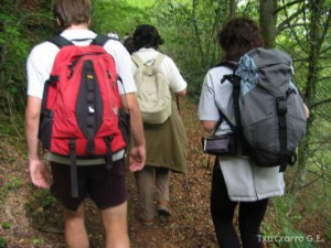 img_1206789412_905