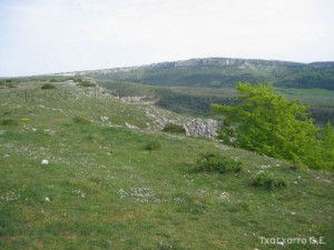 img_1206789413_761