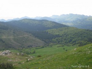 img_1206789413_832