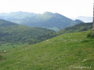 img_1206789414_831