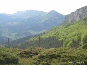 img_1206789415_107